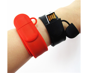 pWrist Band USB